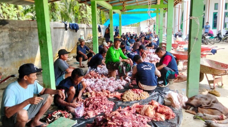 JORONG KURNIA KAMANG GELAR SHOLAT IDUL ADHA 1447 HIJRIYAH DI MASJID BAITUL MAKMUR, MEMOTONG 9 EKOR SAPI, 31 EKOR KAMBING KURBAN 